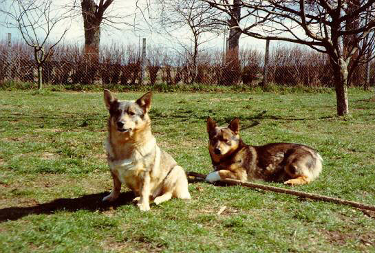 Moa och Hampus