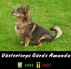 Vstertorps Grds Amanda