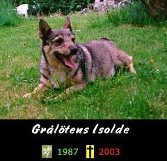 Grltens Isolde