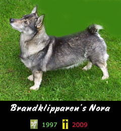 Brandklipparen's Nora