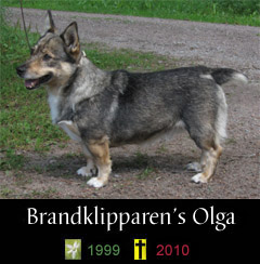 Brandklipparen's Olga